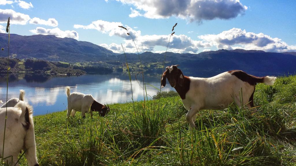 Etne Hytter Etnesjoen Bagian luar foto