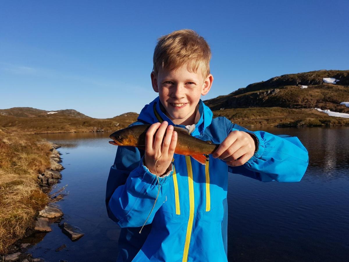 Etne Hytter Etnesjoen Bagian luar foto