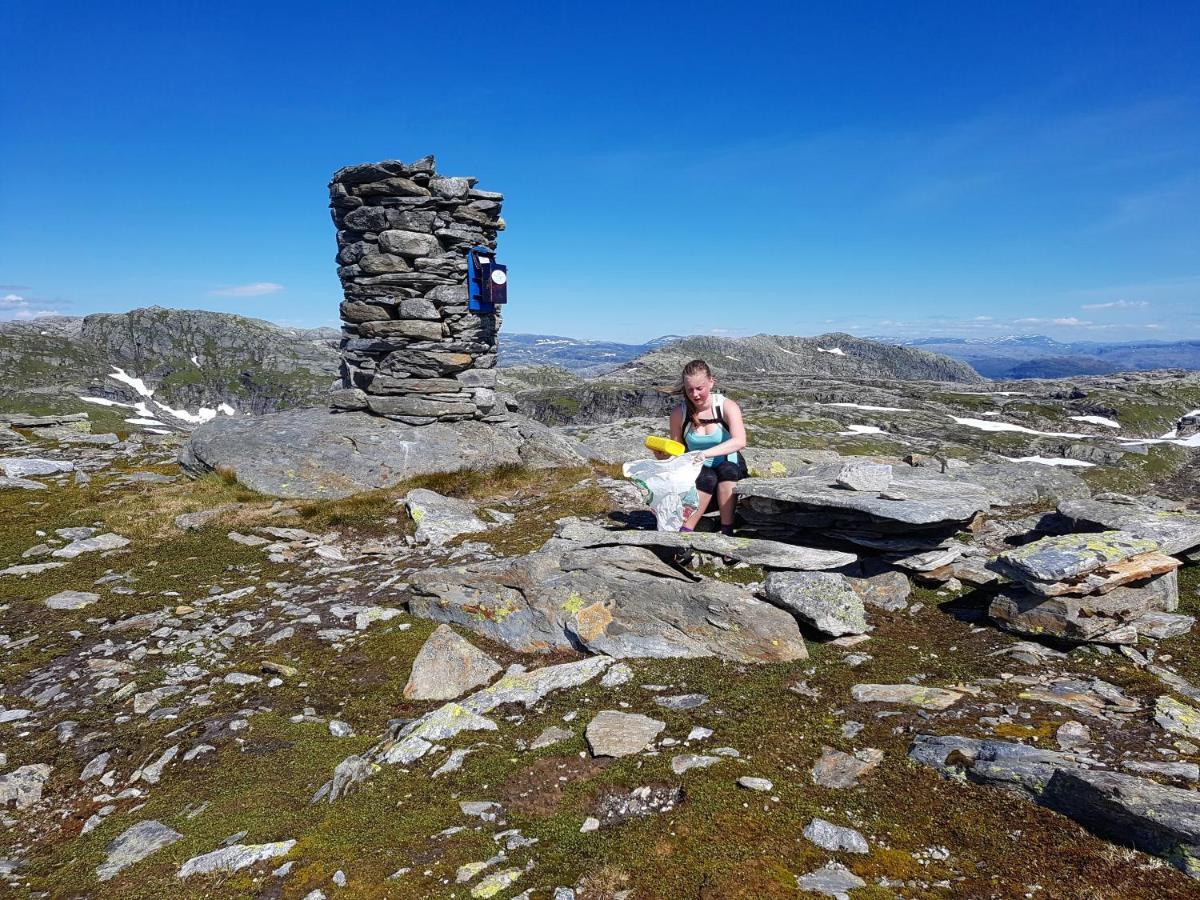 Etne Hytter Etnesjoen Bagian luar foto